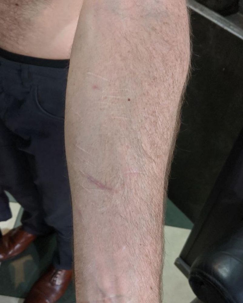 Scar`s work sample 1